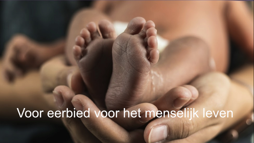 Voor eerbied voor het menselijk leven